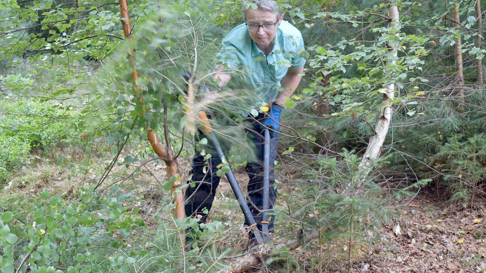 Doro aus Kassel ist eigentlich Verlagsangestellte. Den Platz am Computer tauschte sie jetzt mit einem Einsatz im Wald. Sie ist bereits zum dritten Mal bei einem Bergwald-Projekt dabei.