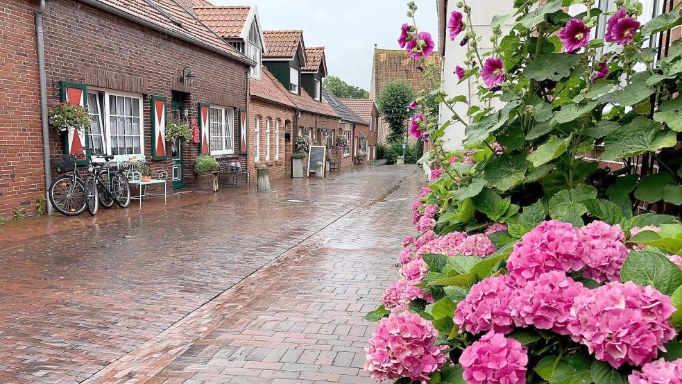 Die Straßen von Ditzum schätzen die Urlauber. Foto: Vogt