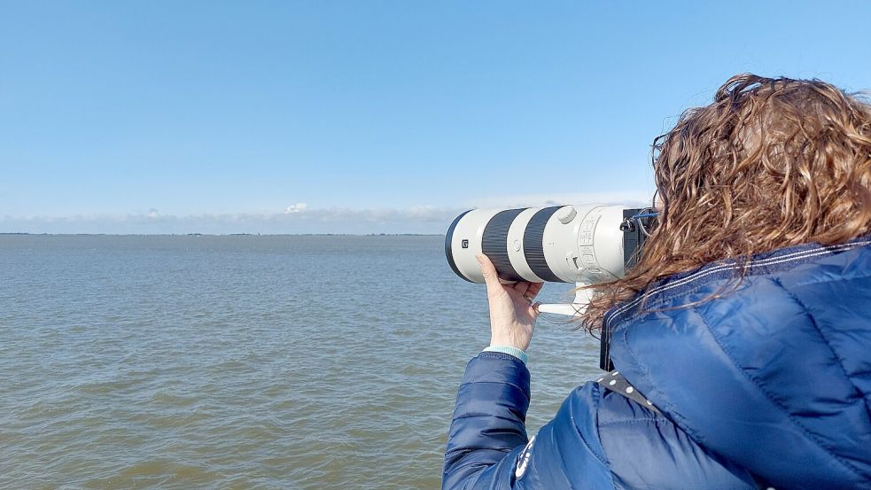 Nicole Hedler ist um 3 Uhr in Hagen losgefahren, um pünktlich auf dem Feuerschiff zu sein. Sie will Seehunde fotografieren.