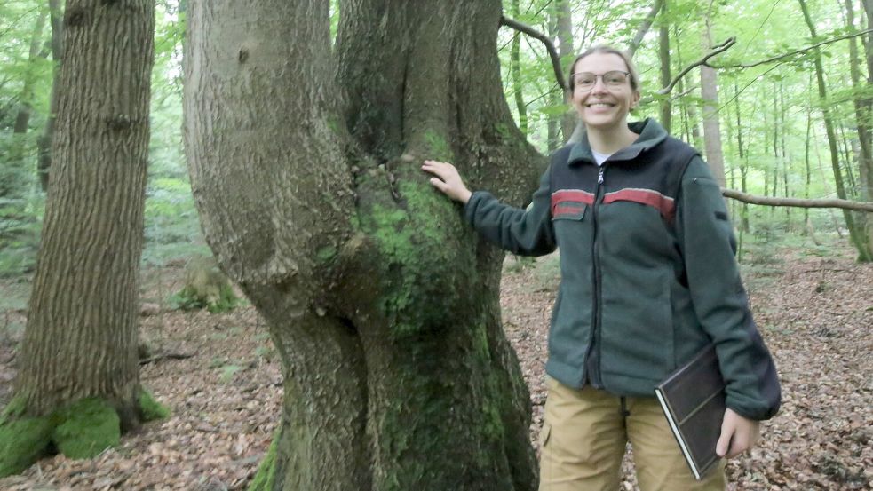 Mit Waldnaturschutzförsterin Linea Kalinowski von den Niedersächsischen Landesforsten ging es ins Herz des Sandhorster Waldes – in den ausgewiesenen Naturwald. Foto: Böning