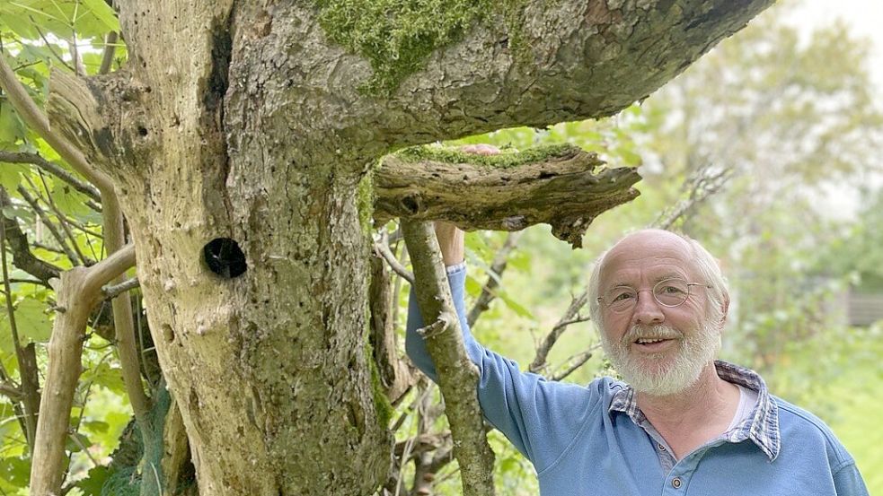 Das Fällen des halbtoten Apfelbaums in Helmut Hanssens Garten kommt nicht in Frage. Er bietet viel Raum für Leben. Foto: Löschen