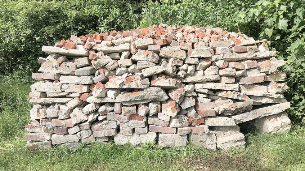 "Hier kribbelt und wirbelt das", sagt Helmut Hanssen. Im Sommer heizt dieser Steinhaufen auch mächtig auf.