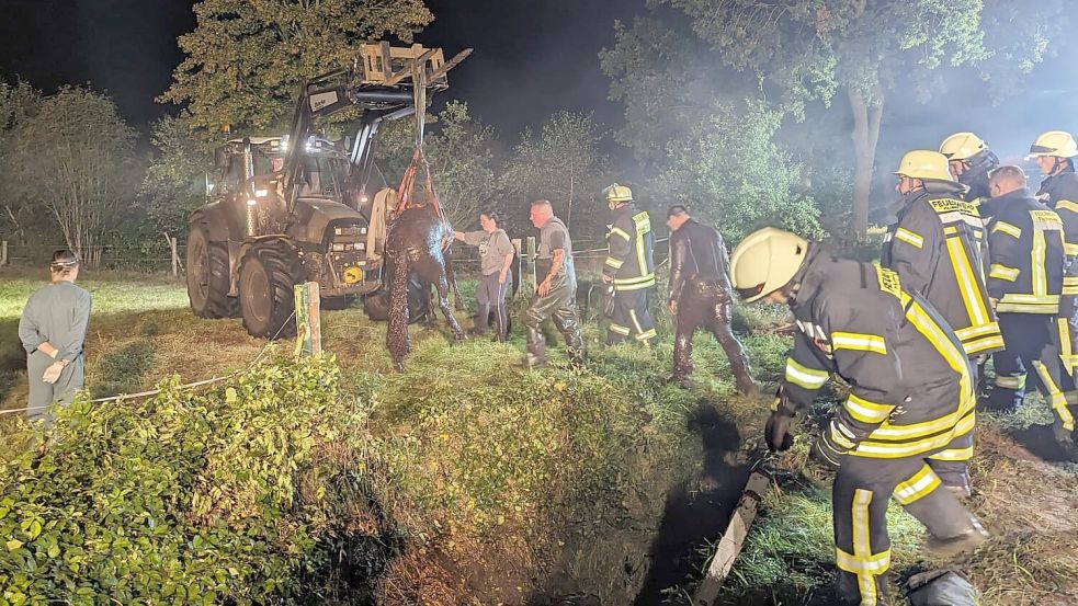 Zwei Pferde sind am späten Dienstagabend aus einem Graben gerettet worden. Fotos: Bruns/Feuerwehr