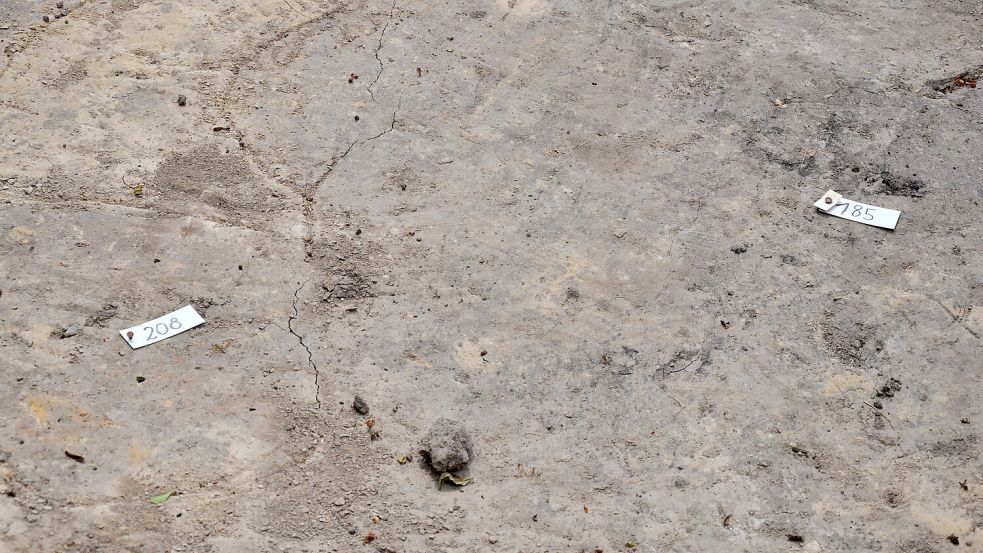 Jede dieser Nummern deutet auf einen weiteren Fund hin, der noch im Boden versteckt liegt. Foto: Archiv/Ullrich