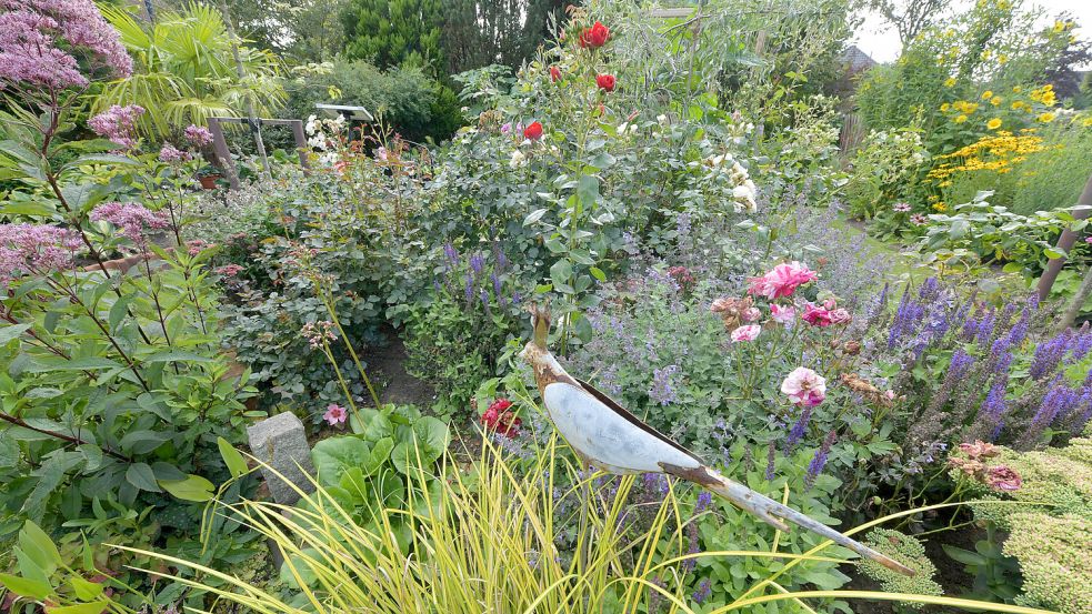 Nach wenigen Monaten steht der Garten schon in voller Blüte. Foto: Ortgies