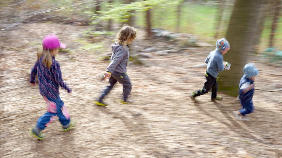 Im Wald kann man nicht nur spazieren gehen – er ist auch ein spannender Platz für junge Entdecker. Symbolbild: dpa