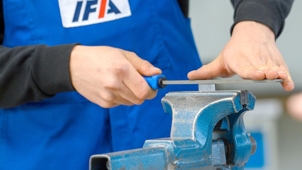 Die Zahl der Handwerks-Lehrlinge ist in den vergangenen Jahrzehnte zurückgegangen. Foto: dpa/Klaus-Dietmar Gabbert