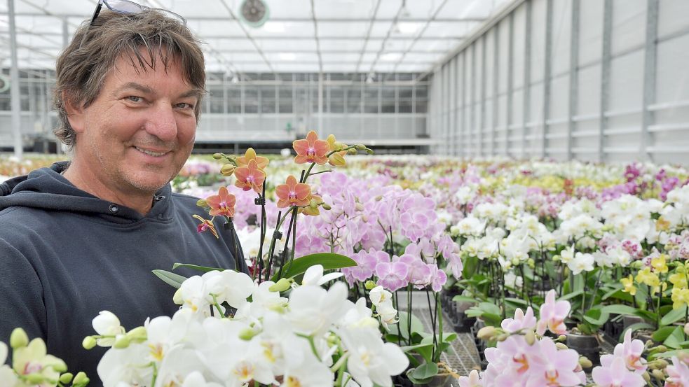 „Es macht mir richtig Spaß“, sagt Jan Klusmann über seine Arbeit mit Orchideen. Seine persönlichen Favoriten sind die wohlriechenden Sorten, verrät er. Fotos: Ullrich