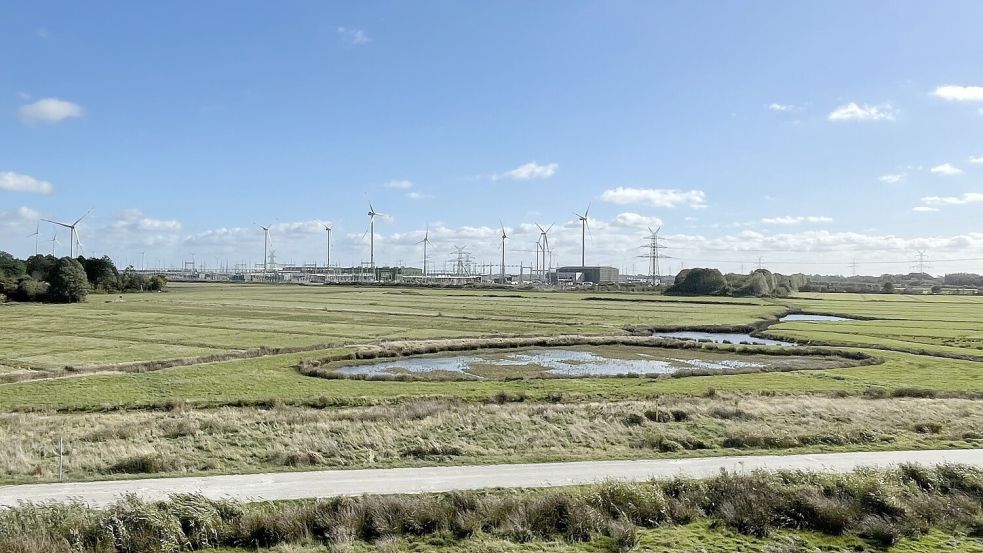 Hier im Borssumer Hammrich steht schon das Umspannwerk von Tennet. In der Nähe soll auch der EWE-Elektrolyseur gebaut werden. Foto: Päschel/Archiv