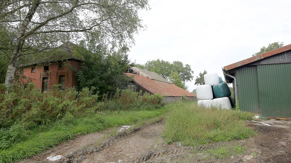 Die Ruine steht direkt neben dem neuen Stall, den Ockinga nach dem Brand 2012 bauen ließ. Foto: Böning