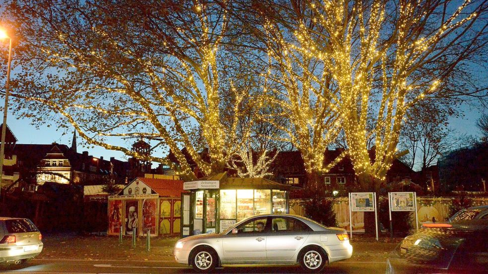 Die Beleuchtung Bäume im Emder Stadtgarten wird jetzt modernisiert. Foto: F. Doden/Archiv