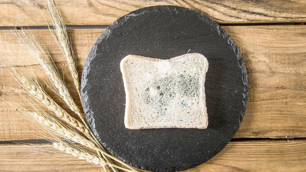 Wird Schimmel auf Brot sichtbar, können die Schimmelpilzgifte nicht durch abkratzen oder abschneiden entfernt werden. Foto: Christin Klose/dpa-tmn