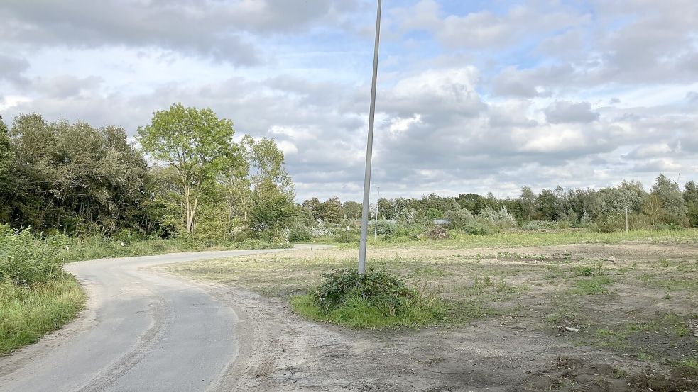 Das Gelände neben dem Emder Tierheim, das als „Buschplatz“ bekannt ist, wird zur Gewerbefläche. Fotos: Schuurman