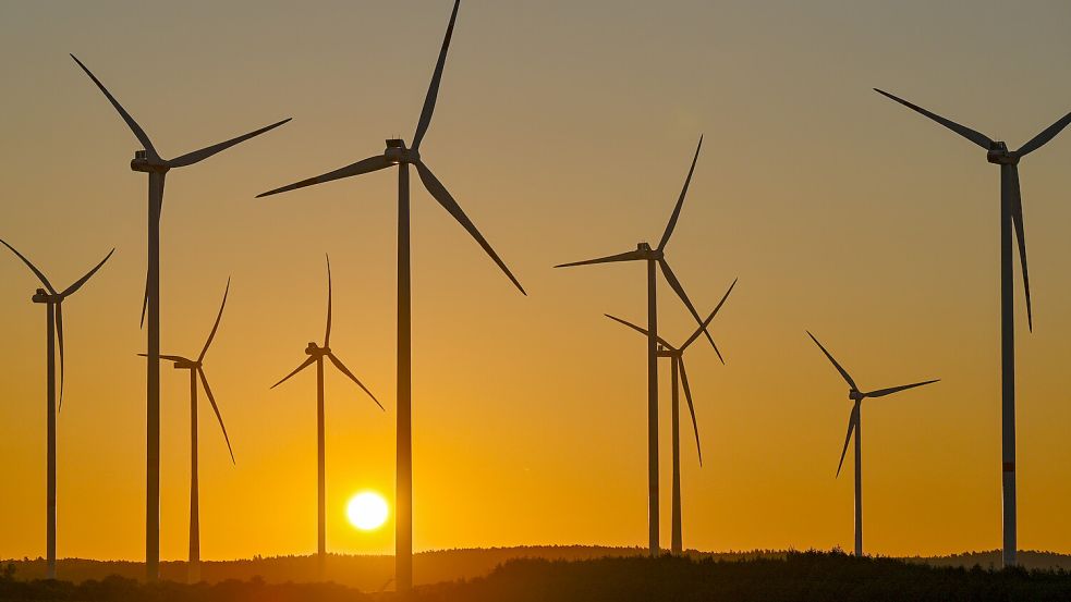 Gewonnener Strom von Windkraftwerken kann oftmals nicht genutzt werden. Foto: picture alliance/dpa | Patrick Pleul