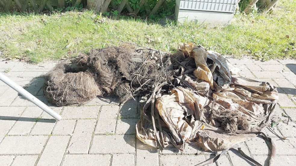Ein feinmaschiges Fischernetz wurde von dem Emder Alfred Kieselbach auf dem Weg zum Uphuser Meer gefunden.