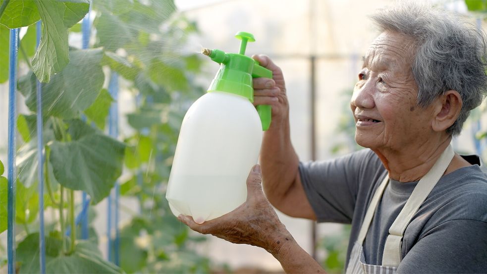 In Japan sind mehr als zehn Prozent der Bevölkerung mindestens 80 Jahre alt. Foto: imago images/Pond5 Images