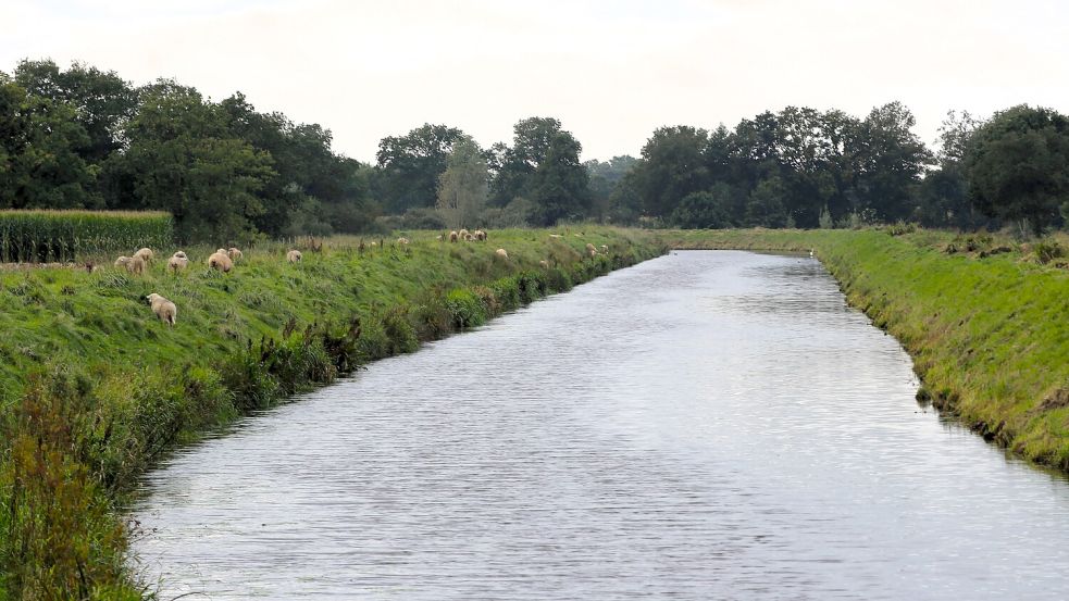 Der heute eingedeichte Fluss Ehe ist teilweise eine natürliche Grenze zu Nachbar Walle. Foto: Böning