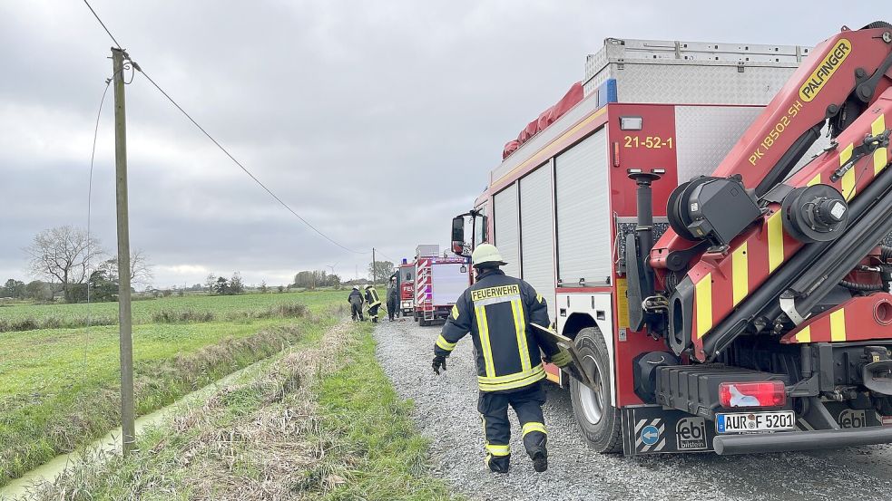 Zu einer Tierrettung musste die Feuerwehr am Montag ausrücken. Foto: Feuerwehr