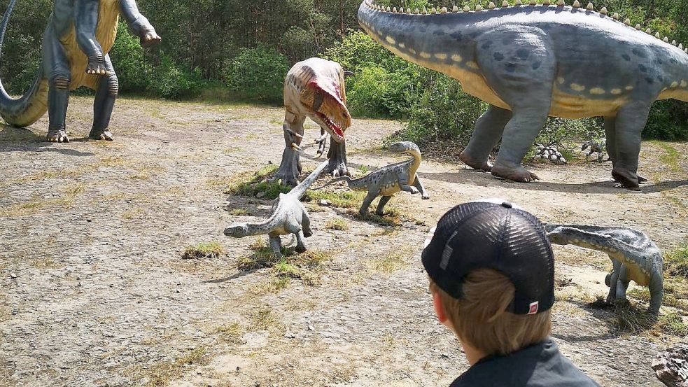 Eine spannende Jagdszene ist im Dino-Park in Münchehagen nachgestellt. Foto: Hanssen