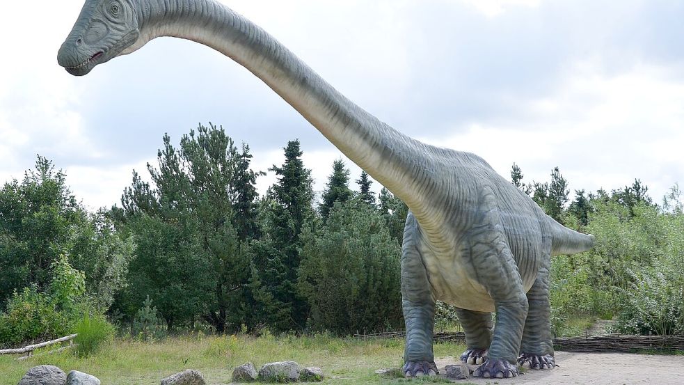 Sauropoden kennen viele: Das sind die mit den langen Hälsen. Bekannte Gattungen sind Brachiosaurus, Diplodocus und Brontosaurus. Foto: Pixabay