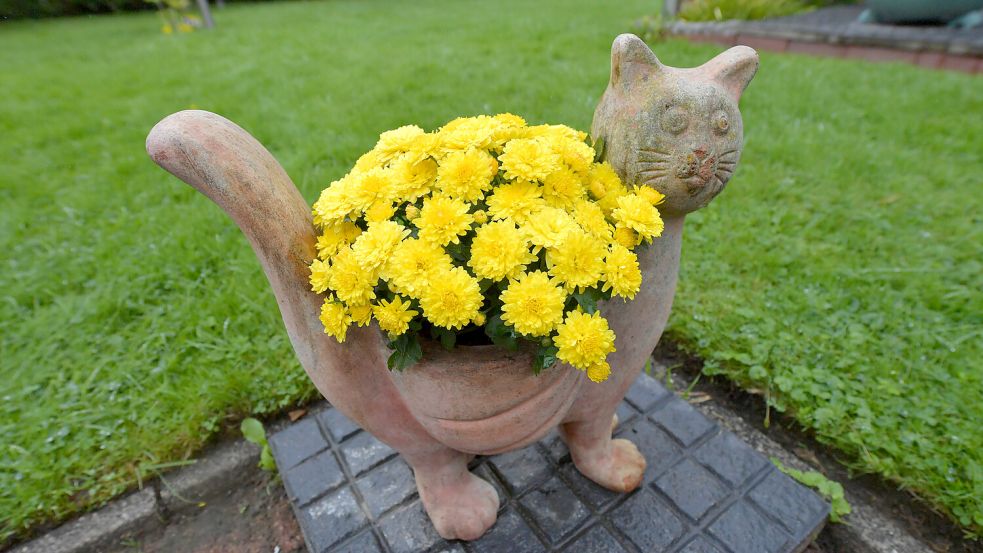 Bunte Blumen mag Antje Jansen am liebsten – eine echte Katze hat sie übrigens auch. Foto: Ortgies