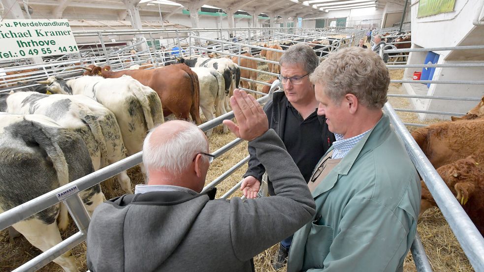 Beim Galliviehmarkt wird der Kauf traditionell per Handschlag besiegelt. Fotos: Ortgies