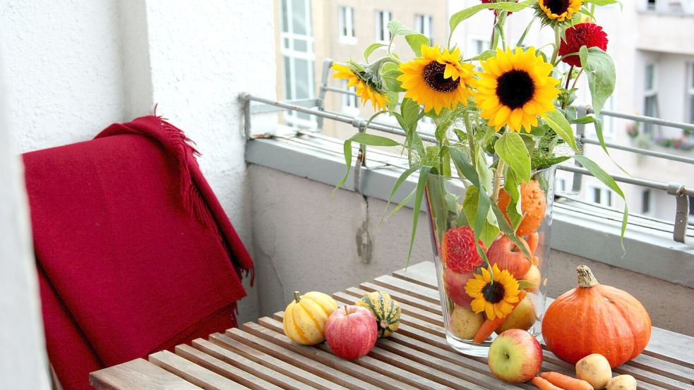 Kürbisse und Blumen: Eine schöne Idee für Balkon und Wohnung. Foto: Mascha Brichta/dpa-tmn