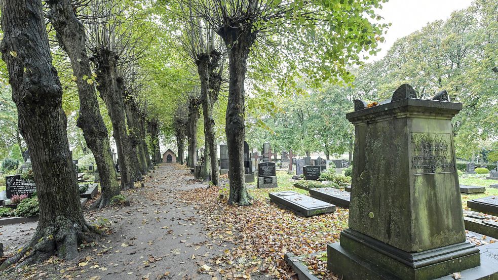 Die Linden auf dem Historischen Friedhof in Neermoor sind ein Naturdenkmal. Die Warft, auf der das Gräberfeld liegt, war wohl früher der Standort einer Kirche mit Glockenturm. Foto: Ortgies
