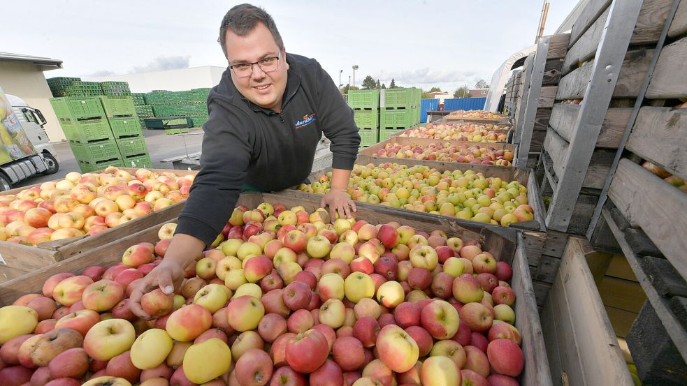 Die Äpfel werden auf dem Hof gelagert. Foto: Ortgies