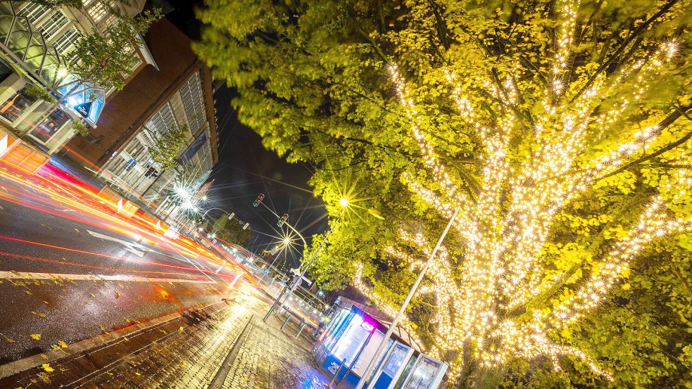 Seit dem 8. Oktober werden jeden Abend die neuen Lichterketten an den Bäumen im Stadtgarten angeschaltet. Foto: J. Doden