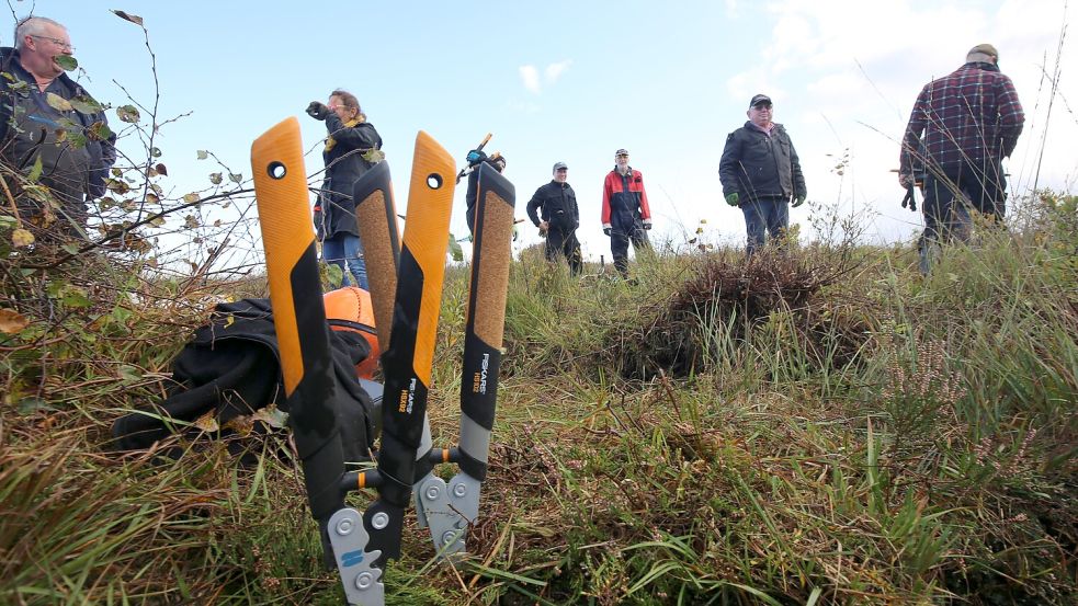 Kurze Pause bei den Pflegearbeiten im Landschaftsschutzgebiet am Ottermeer. Foto: Böning