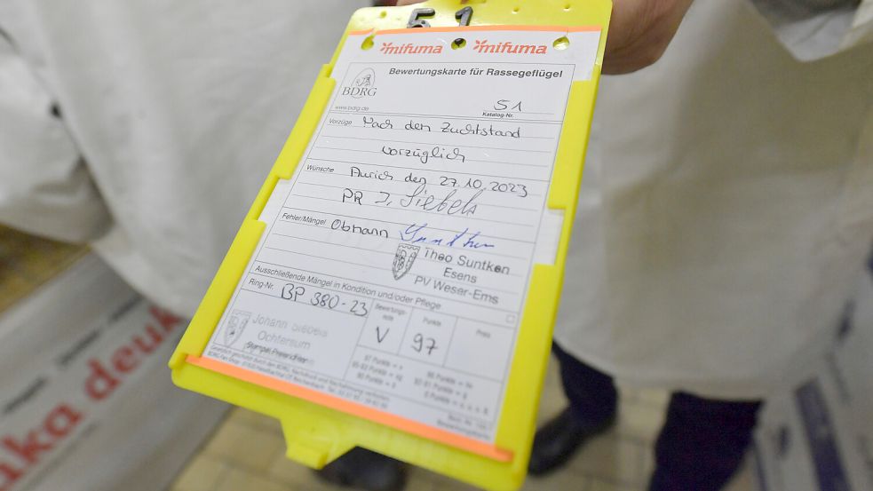 Jetzt ist es amtlich, die Henne mit der Katalognummer 51 hat die Bestnote 97 verdient. Foto: Ortgies
