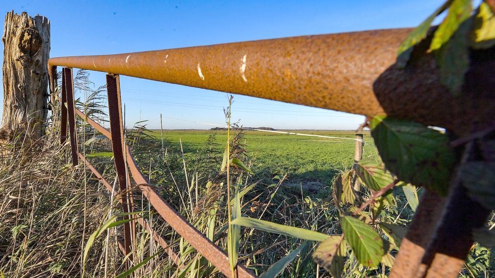 Die Landschaft am Fehntjer Tief in Hatshausen/Ayenwolde wird seit dem Mittelalter bewirtschaftet. Manche Namen existieren seit dieser Zeit. Foto: Ortgies/Archiv