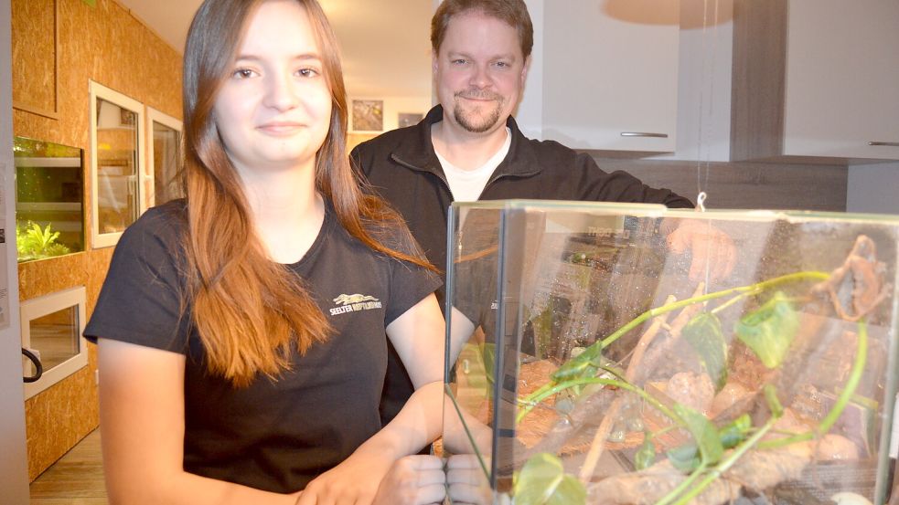 Amy Hönsch, eine von neun ehrenamtlichen Helfern des Teams, das sich mit Leiter Florian Häselbarth um das Seelter Reptilienhuus kümmert, freut sich besonders über die Kronengeckos. Sie ist großer Gecko-Fan und hatte sich die Tierchen gewünscht. Es sind die ersten Geckos in dem Saterländer Privatzoo. Foto: Fertig