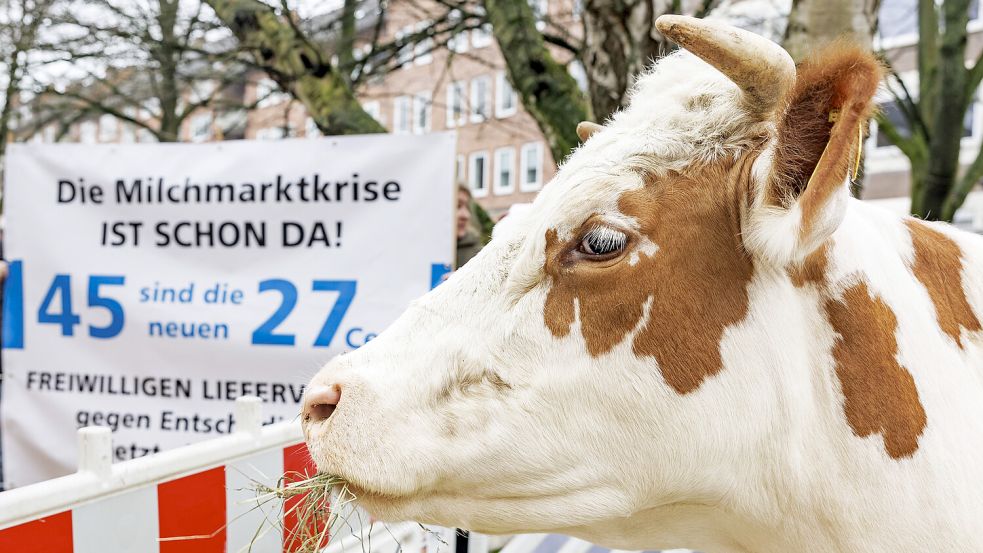 Für den Bundesverband Deutscher Milchviehhalter (BDM) ist die Diskussion mit der Politik wichtig. Kritisiert wird nun eine Veranstaltung, zu der nur die AfD eingeladen wurde. Symbolfoto: DPA