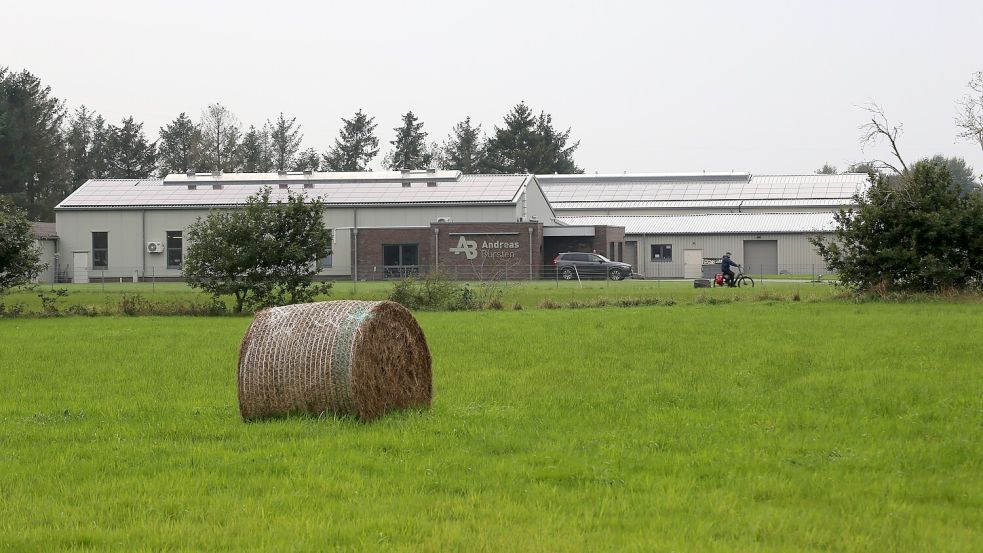 Am Kirchdorfer Moor hat sich kurz nach dem Zweiten Weltkrieg mit Andreas Bürsten ein Produktionsbetrieb angesiedelt. Foto: Böning