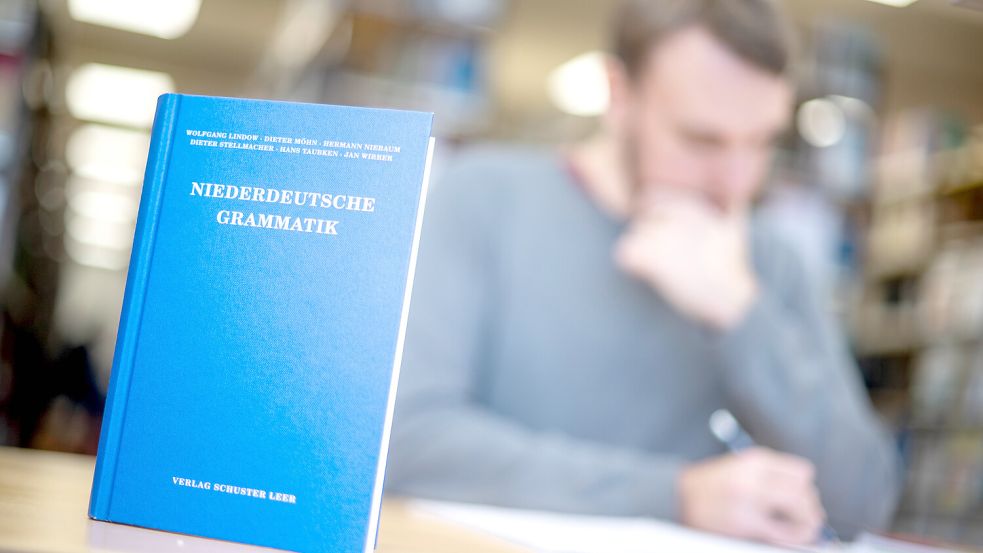 Ein Lehrbuch für das Studium an der Universität in Oldenburg ist die Niederdeutsche Grammatik. Foto: Schuldt/dpa