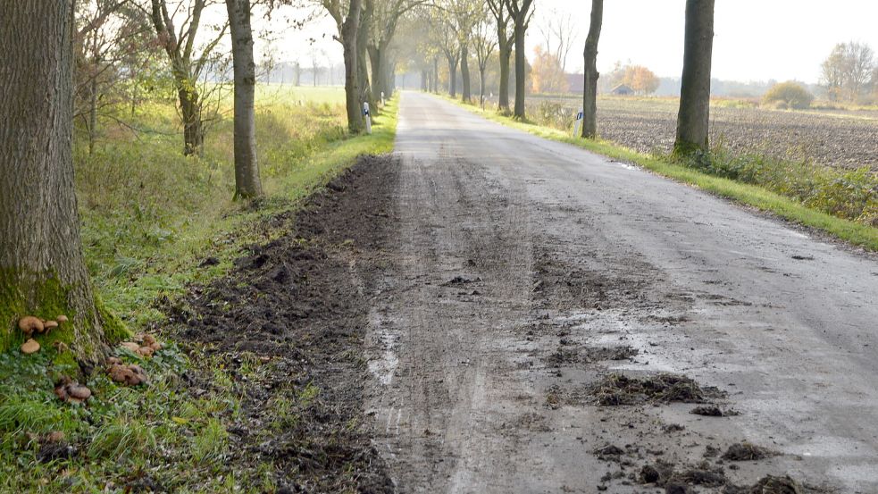 Der LKW war in die Berme geraten und ins Schleudern gekommen. Foto: Weers