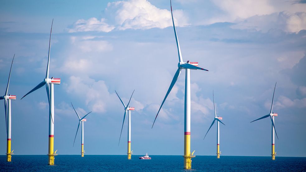 Windkraft auf See. Eine kuriose australische Verschwörungstheorie macht die Windräder für den Tod von Walen verantwortlich. Foto: dpa/Jens Büttner