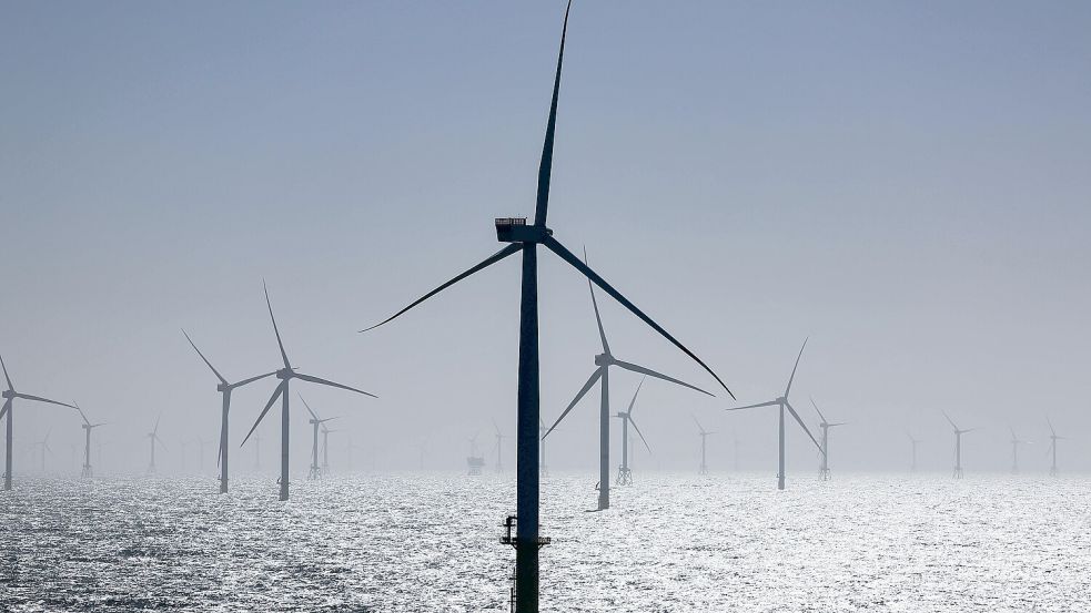 Offshore-Windpark in der Nordsee Foto: dpa/ Christian Charisius