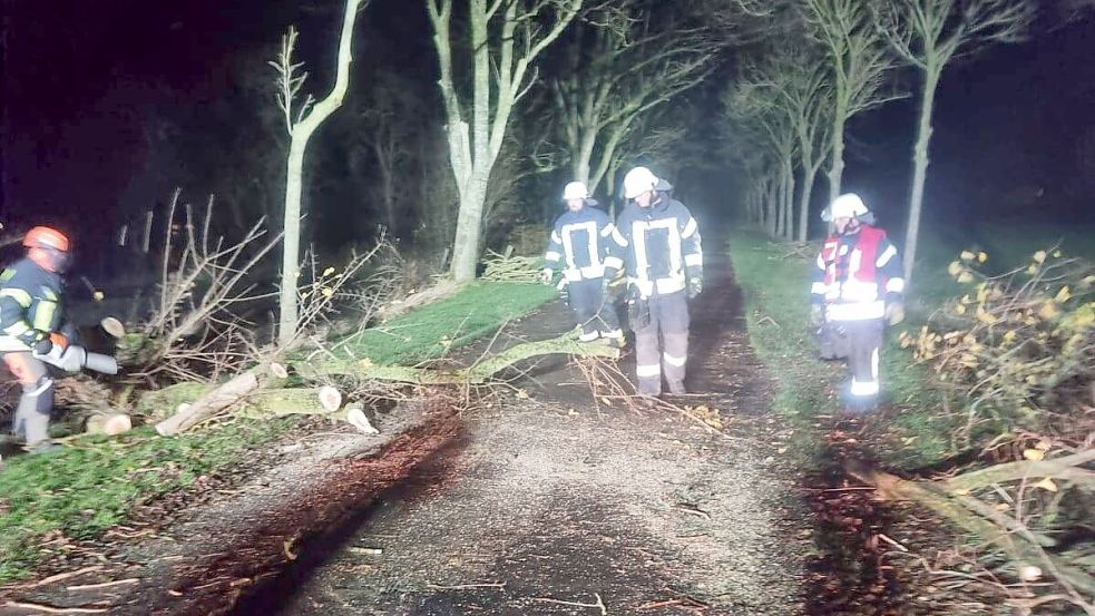 In Leybuchtpolder blockierte ein umgestürzter Baum eine Straße.