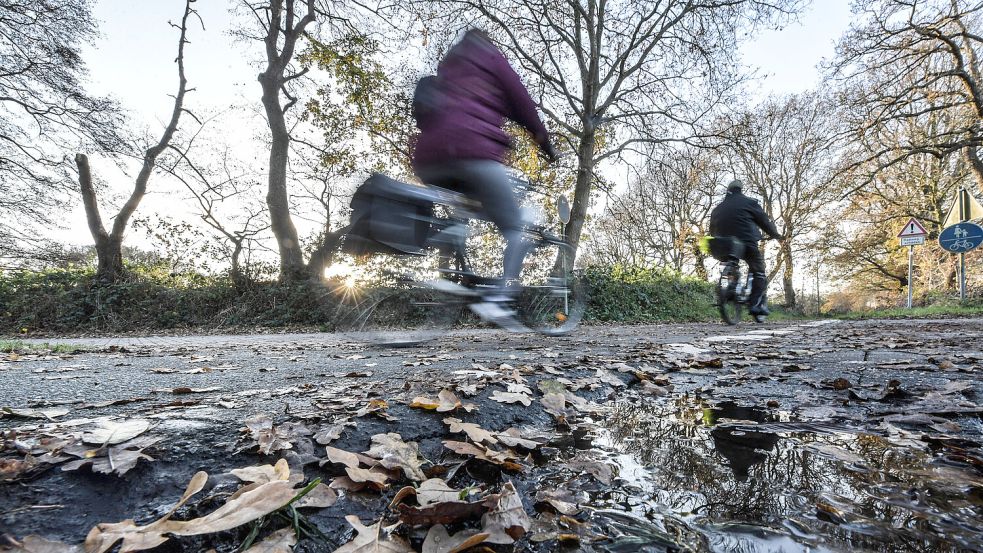 Nasses oder gefrorenes Laub auf den Radwegen – wie hier in Egels – birgt Gefahren. Foto: Ortgies