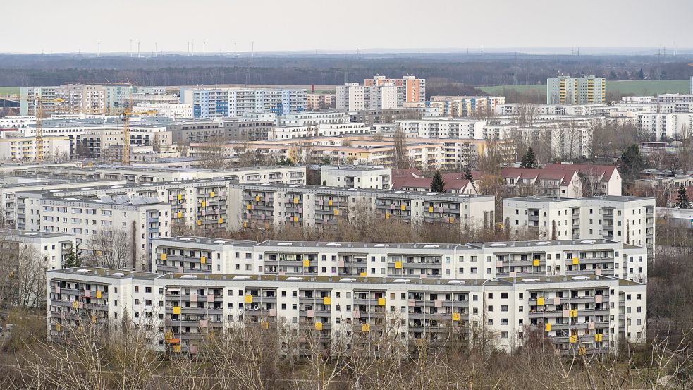 Der Blick vom Kienberg auf Wohnhäuser im Berliner Stadtbezirk Marzahn-Hellersdorf zeigt die typischen Plattenbauten. Die Geschichte eines Langstreckenläufers illustriert die Entwicklung des Bezirks. Foto: imago images/Hohlfeld