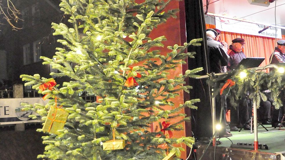 Dieser Baum steht links an der Bühne des Schipper Klottje Leer e.V – sein Zwilling auf der anderen Seite wurde entwendet. Foto: Wolters