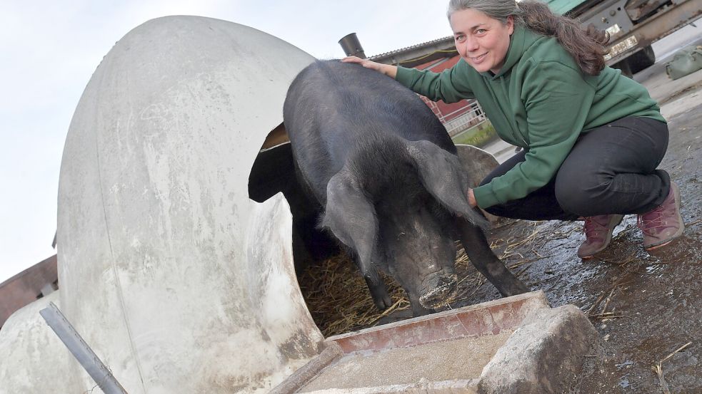 Die ausrangierte Gondel einer Windenergieanlage dient Bobby als Unterschlupf. Besitzerin Nadja Poppen gewährt dem Grafen Streicheleinheiten.