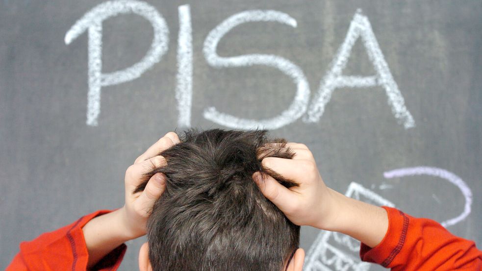 Es ist zum Haare raufen: Deutsche Schüler haben bei der Pisa-Studie enttäuschend abgeschnitten. Foto: Büttner/Picture Alliance/DPA