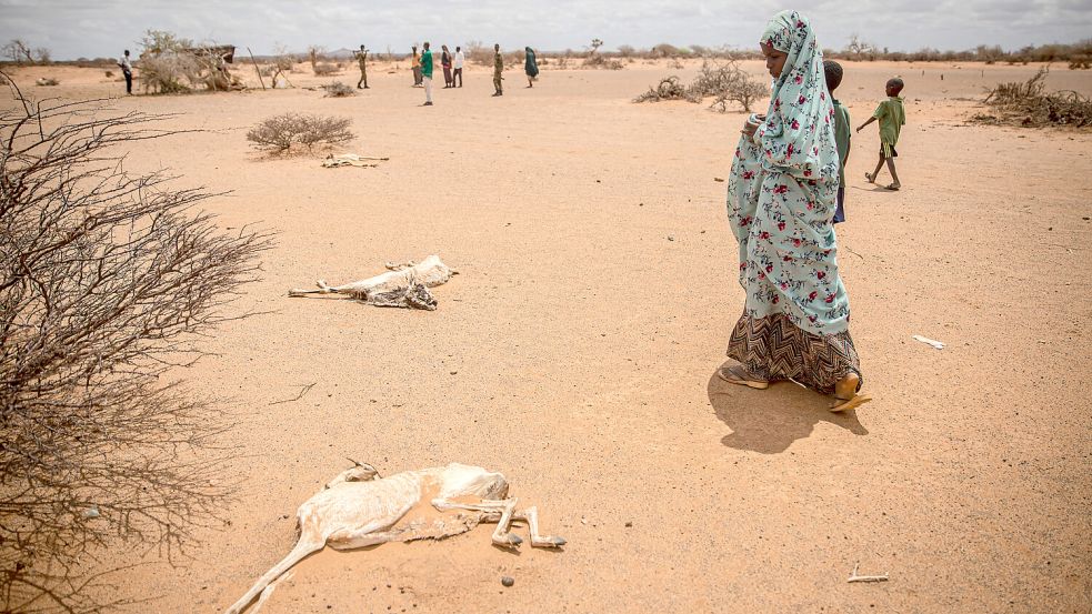 Eine langanhaltende Dürre hat über eine Million Menschen in Somalia in die Flucht getrieben. Foto: Sally Hayden/Imago Images