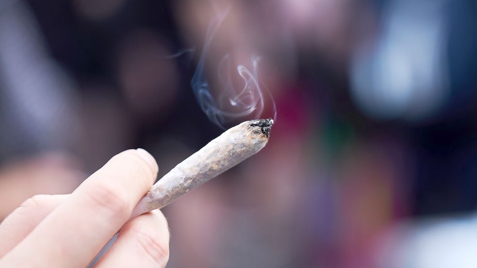 Der Eigenanbau und Besitz bestimmter Mengen Cannabis sollen nach aktuellen Plänen der Bundesregierung für Volljährige ab dem 1. April 2024 erlaubt sein. Foto: dpa