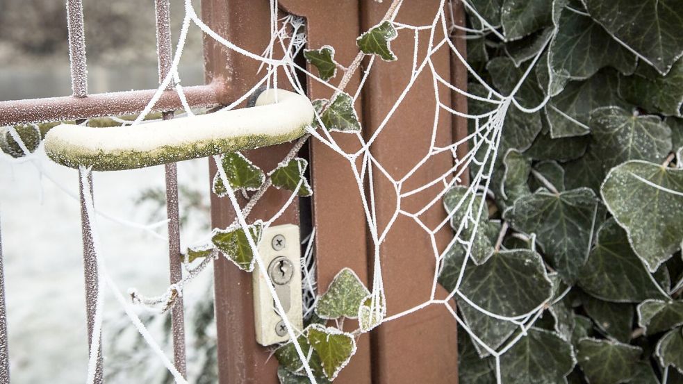 Auch im Winter gibt es genug zu tun, um den Garten in Schuss zu halten und sich auf die nächste Gartensaison vorzubereiten. Foto: picture alliance / dpa-tmn