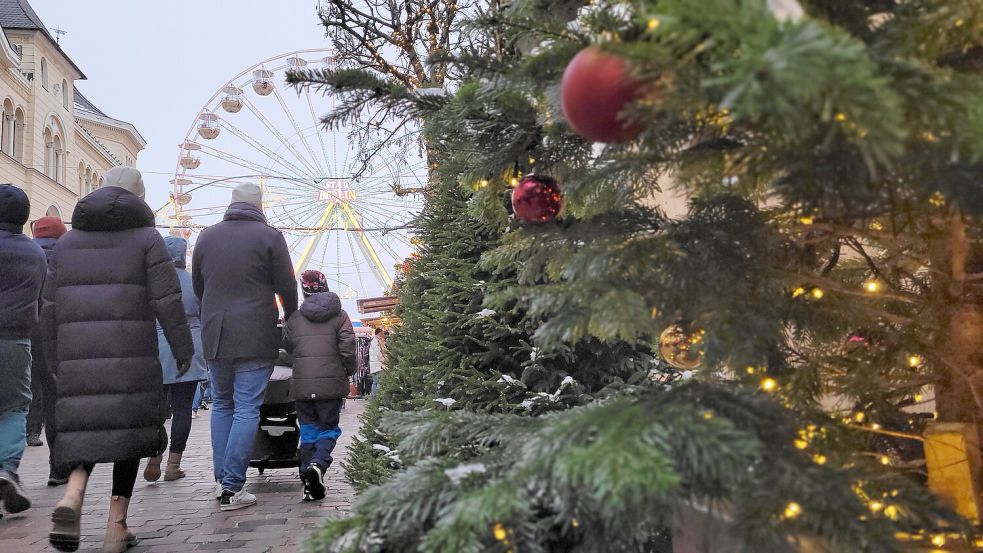 Der Baum wurde vom Schweriner Weihnachtsmarkt geklaut. Foto: Marlena Petersen